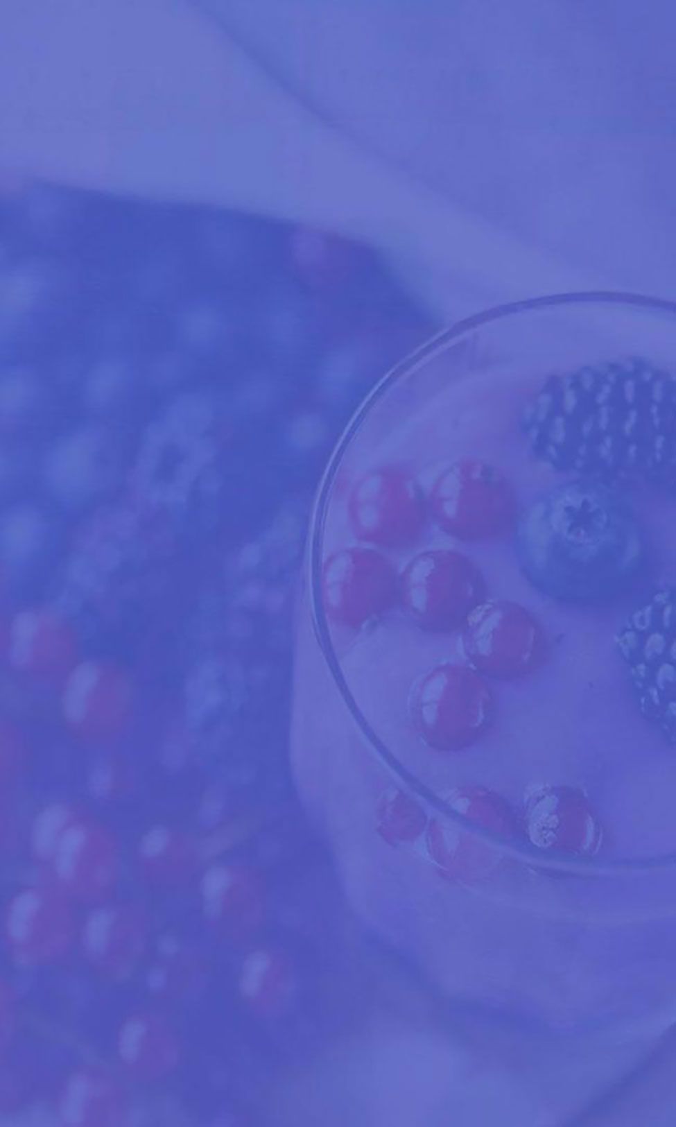 Fruit Smoothie - Avada Sports Fruit Smoothie